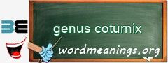 WordMeaning blackboard for genus coturnix